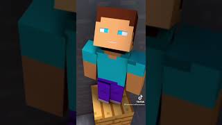 Minecraft animation