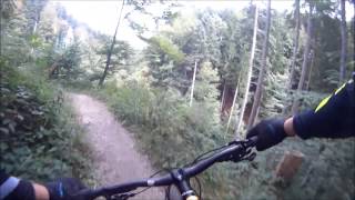 MTB-Trails im Allgäu (Kempten) - Trails am Mariaberg