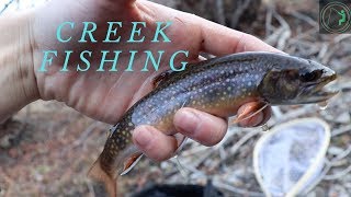 Creek Fishing | Brook Trout