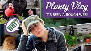 It's Been A Rough Week.... | Planty Chores Vlog and Life Update | Houseplant Vlog Ep. 2