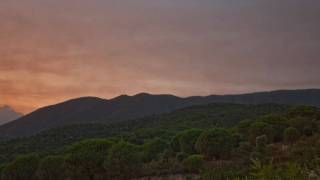 Tarda al Montnegre. Sant Iscle de Vallalta. Maresme. Vídeo art. Música: Cornago