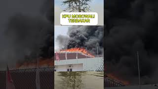 KPU MOROWALI terbakar #news #kpu #morowali #viralvideo