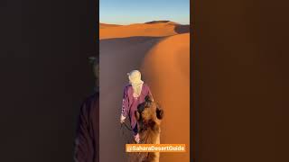 Riding the camel during sunset in the Sahara desert of Merzouga.