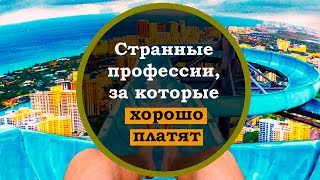 Необычные профессии в мире. Странные профессии в мире, за которые хорошо платят. ТОП - 10