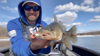 Smashing Rainy River Walleyes (SPRING RUN)