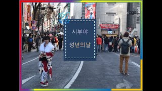 [도쿄여행영상] 일본 도쿄여행 (일본 성년의날 축제 영상) // Traveling in Tokyo // 경쾌한 BGM