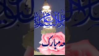 ytshorts | madina chor ae hain | #madina