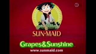 Deku Sunmade Raisins