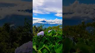 can't ignore😌 #mountains #beauty #flowers #clouds #hills #kalimpong #darjeeling #travel #subscribe