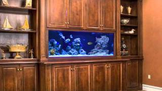 How To Set Fish Aquariums & Ponds In Your Home & Office By Modern Tiles Faisalabad