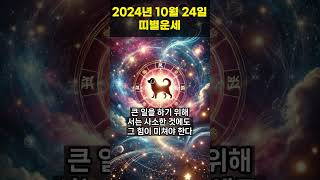 2024년 10원 24일 개띠, 돼지띠 오늘의운세 !! #오늘의운세 #띠별운세 #운세 #개띠운세 #돼지띠운세  #shorts