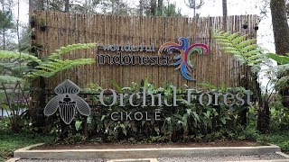 Orchid Forest Cikole Lembang