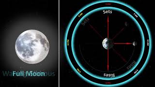 Phases of the Moon | Lunar Phases (4K Resolution) #educational #moon #moonphases @JaredOwen