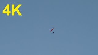 4K Free Stock Footage: Paragliding Man in Action