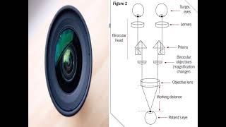 #LOGARITHM APPPLICATIONS,#RADIO  EQUIPMENT IN SPACE,#MEDICAL EQUIPMENT,#ORGANIC MATTER CARBON DATING