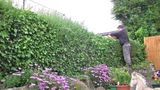 How to cut a hedge fast