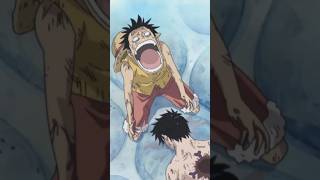 The Past of the Mugiwaras | One Piece