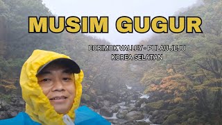 Suasana Puncak Musim Gugur di Eorimok Valley - Pulau Jeju - Korea Selatan