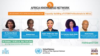 Conversation with African STEM Experts on "Capacity-building of STEM Professionals in Africa"