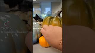 it is time for #pumpkins and #spooky stuff. #fall #office