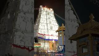 Sri Venkatesha Tirupati balaji temple today's video#vlog #trending #ytshorts #youtubeshorts#shorts