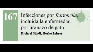 Infecciones por Bartonella, incluida la enfermedad por arañazo de gato