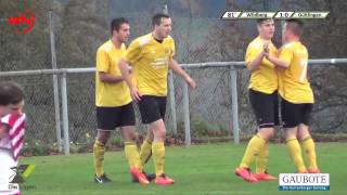 22.11.2014 TSV Wildberg vs SV Gültlingen: Tor 1-0