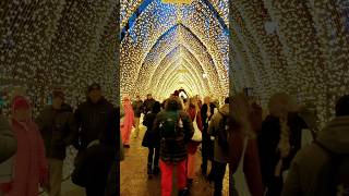 Sprinkling #holiday #magic #festive #decoration #ChristmasCheer #viral #shortvideo #like #subscribe