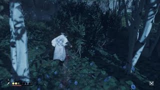 Ghost of Tsushima glitch 2