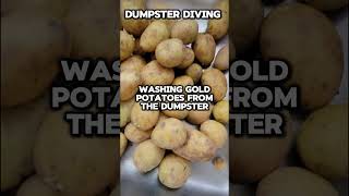 Dumpster Diving Washing Gold Potatoes From The Dumpster #dumpsterdiving #dumpsterdivingfilipino