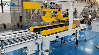 Automatic cartoning machine packaging products