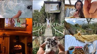 ASMR- Come to a treehouse in Ireland with me🌲🍀🐛 (Tapping, whispers, tour and more!!)