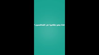 جلاميرا | ماذا يميز جلاميرا عن المنافسين؟