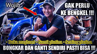 BONGKAR DAN GANTI PLATINA VESPA SENDIRI TANPA HARUS KE BENGKEL ( PASTI BISA )