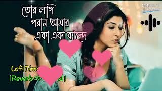 Tor Lagi Paran Amar Aka Aka Kande (তোর লাগি প্রান আমার)‌ Lofi Rimex (slowed Reverb) Lofi Song