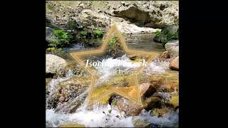 Sierra Nevada Creek Slow motion #Shorts #Creeks