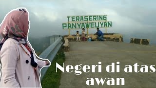 Terasering Panyaweuyan Majalengka - Pesona Bumi Pasundan