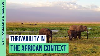 Thrivability in the African Context | A Thrivable Life Podcast | Episode 03