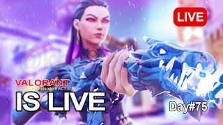 Day 75 | Rank Up | Valorant Livestream #valorant #valorantclips #live #gaming #trending #vct #video