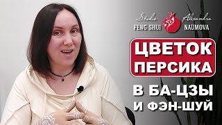 Цветок Персика в Бацзы и Фен-Шуй | Курс Ба-Цзы