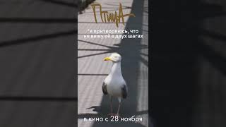 Я и подруга | ПТИЦА (Bird), 2024. Идут премьеры! #кино #провзглядкино #фильм