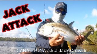 KAYAK fishing the SALTWATER CANALS  in Southwest Florida -- Jack and Snook Fishing