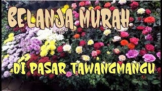 PASAR TAWANGMANGU - WISATA SAMBIL BELANJA MURAH