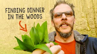 Foraging for Wild Garlic in the French Alps