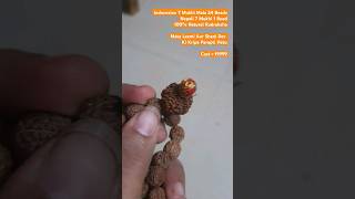 7 Mukhi Rudraksha Mala #shorts #7mukhirudraksha #rudraksha #rudrakshabenefits #rudraksh