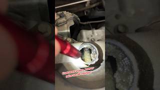 Customer States - They never Miss an Oil Change