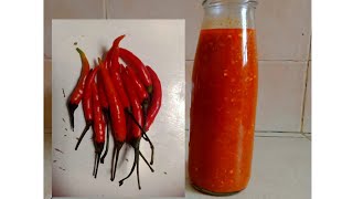 How to make homemade chilli sauce//Extra hot chilli sauce recipe//How to make a hot chilli sauce