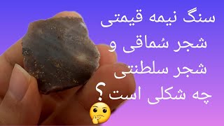 بررسی این سنگ نیمه قیمتی شجر سُماقی و شجر سلطنتی گرانبها Gemstone