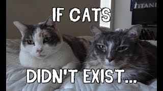 If Cats Didn't Exist...