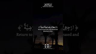 And enter My Paradise - Surah Al Fajr Ayah 27-30 #quran #ytshorts #explore #surahalfajr #islam